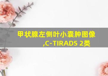 甲状腺左侧叶小囊肿图像,C-TIRADS 2类